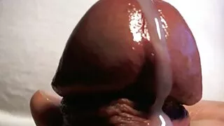 Turtingieji Kentai p ...