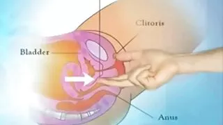 Susijaudinusios lesb ...