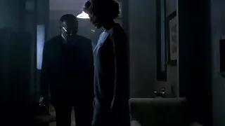 Aistringi meilužiai  ...