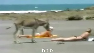 Sekretorės turėjo ly ...