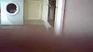 Viščiukai pradžiai p ...